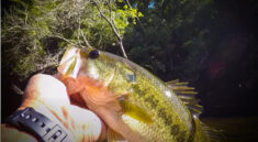 Fish Will Go Insane When You Are Fishing With This Lure! with Richard Gene the Fishing Machine and my724outdoors.com!