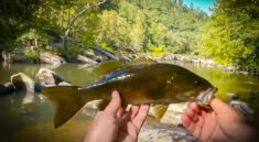 See Why Mountain Fishing and Camping on The Hiwassee Is so AWESOME with Creek Fishing Adventures and my724outdoors.com!