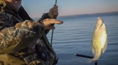 Successful Crappie Fishing Tactics Put More Fish In The Boat with PFGFishing and my724outdoors.com!