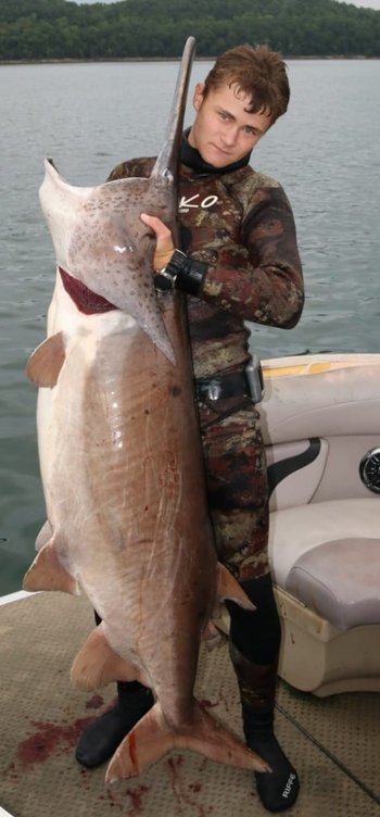 Possible world-record paddlefish skewered on Beaver Lake with AGFC and my724outdoors.com!