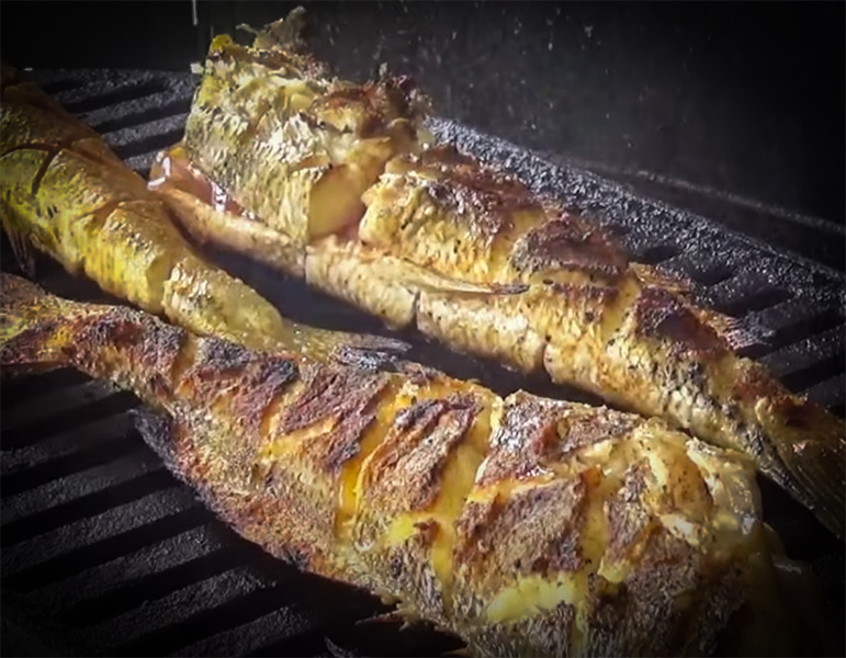 Delicious Whiting Recipe on The Cast Iron Grill with Backwoods Gourmet and my724outdoors.com!