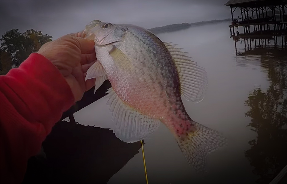 Jigging For Crappie In The Fall with Richard Gene the Fishing Machine and my724outdoors.com!