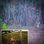 A Nice 8 Point Buck Ends Our Season With a Bang with Bubba Roundtree Outdoors and my724outdoors.com!