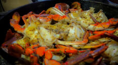 CATCH AND COOK DELICIOUS BLUE CRABS AT CAMP with Backwoods Gourmet and my724outdoors.com!