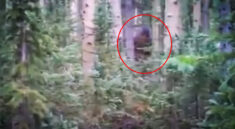 Incredible Bigfoot Sighting in Utah with Sasquatch Outpost and my724outdoors.com!