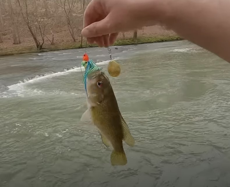 An EPIC day of Winter Bass Fishing with Creek Fishing Adventures and my724outdoors.com!