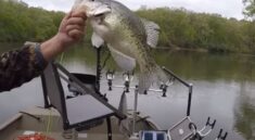 Fantastic Crappie Fishing at Cedar Lake in Southern Illinois with PFGFishing and my724outdoors.com!