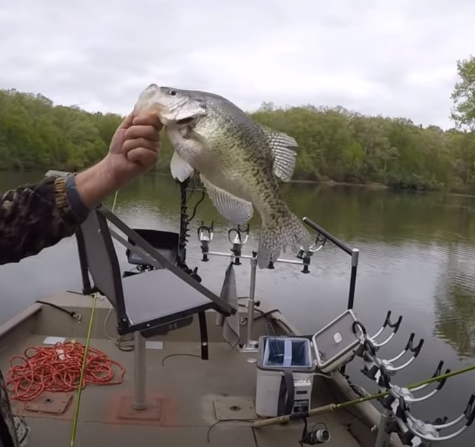 Fantastic Crappie Fishing at Cedar Lake in Southern Illinois with PFGFishing and my724outdoors.com!