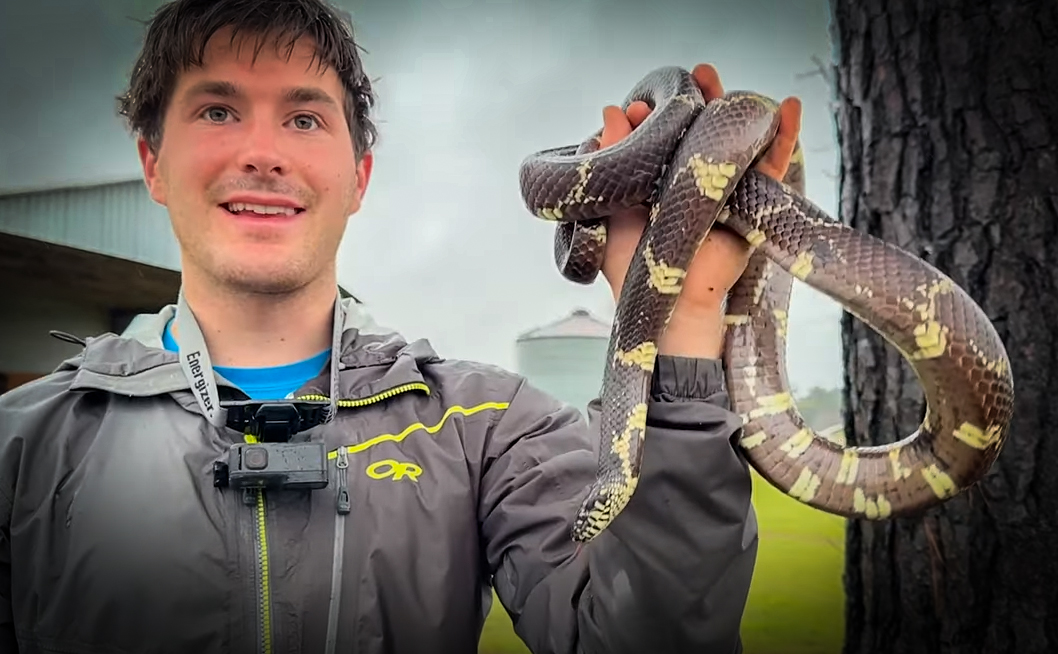Finding a Massive Kingsnake in Huge Pile of Tin and More with NKFHerping and my724outdoors.com!