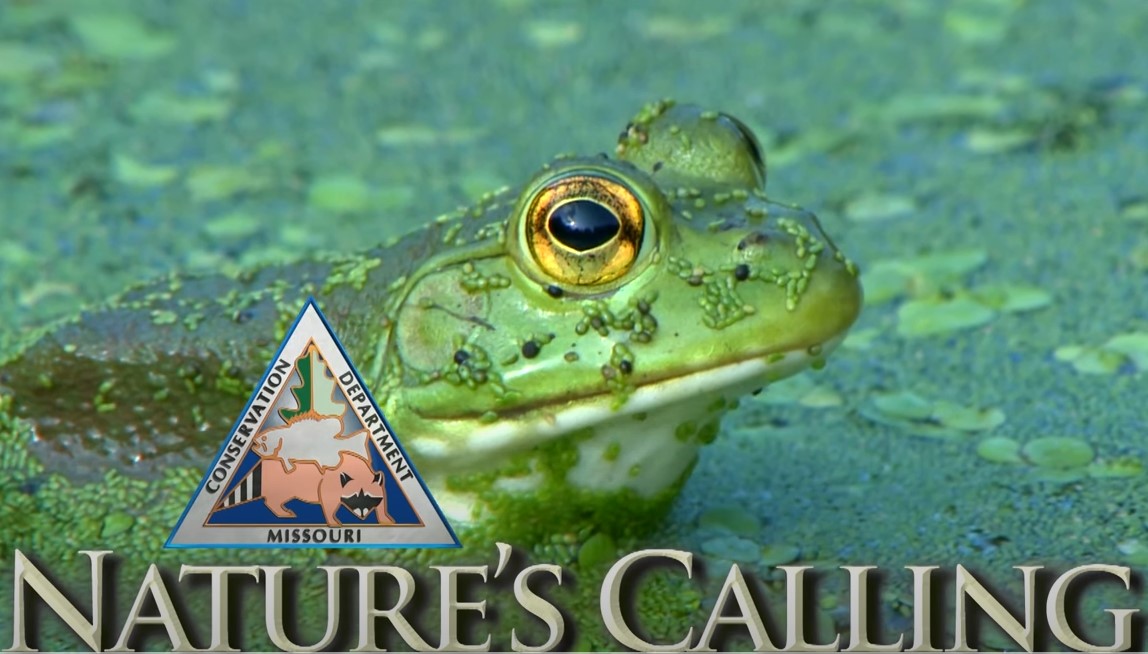 This Month's Nature's Calling Video Is Full of Great Information with MoConservation and my724outdoors.com!