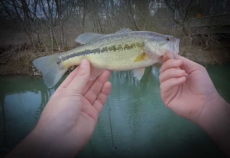 Weird Warm Weather Brings Good Fishing To Shallow Creeks with Creek Fishing adventures and my724outdoors.com!