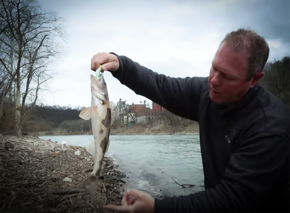 Coyote Hunting and Sauger Fishing on This Episode of Kentucky Afield with KYAfield and my724outdoors.com!