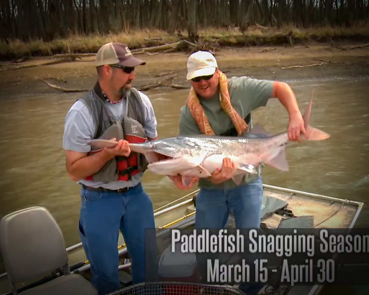 Snagging for Paddlefish and More in this Episode of Nature's Calling with MoConservation and my724outdoors.com!