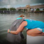 The AMAZING Dolphin Research Center in Grassy Key is a MUST DO for Families Visit Florida and my724outdoors.com!