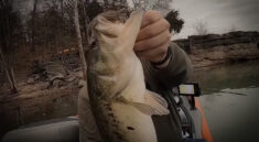 Winter Time Bass Fishing in Table Rock Lake for Lunkers with Fishinwithkolten and my724outdoors.com!