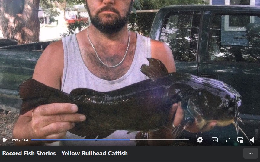 Missouri Man Catches World Record Catfish And Shatters State Record ...