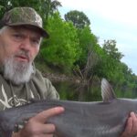 Catfish and Bream Action on The Wateree River with Bubba Rountree Outdoors and my724outdoors.com!