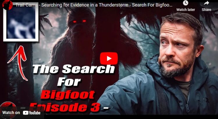Search For Bigfoot Part 3 is a Story of Rain and Weird Things with TOGR and my724outdoors.com!