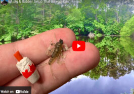 A Simple Jig And Bobber Setup That Will Catch Tons of Bluegill with Richard Gene the Fishing Machine and my724outdoors.com!