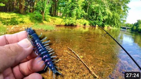 Use This Explosive Hellgrammite Lure to Catch Loads of Smallmouth Bass with Richard Gene the Fishing Machine and my724outdoors.com!