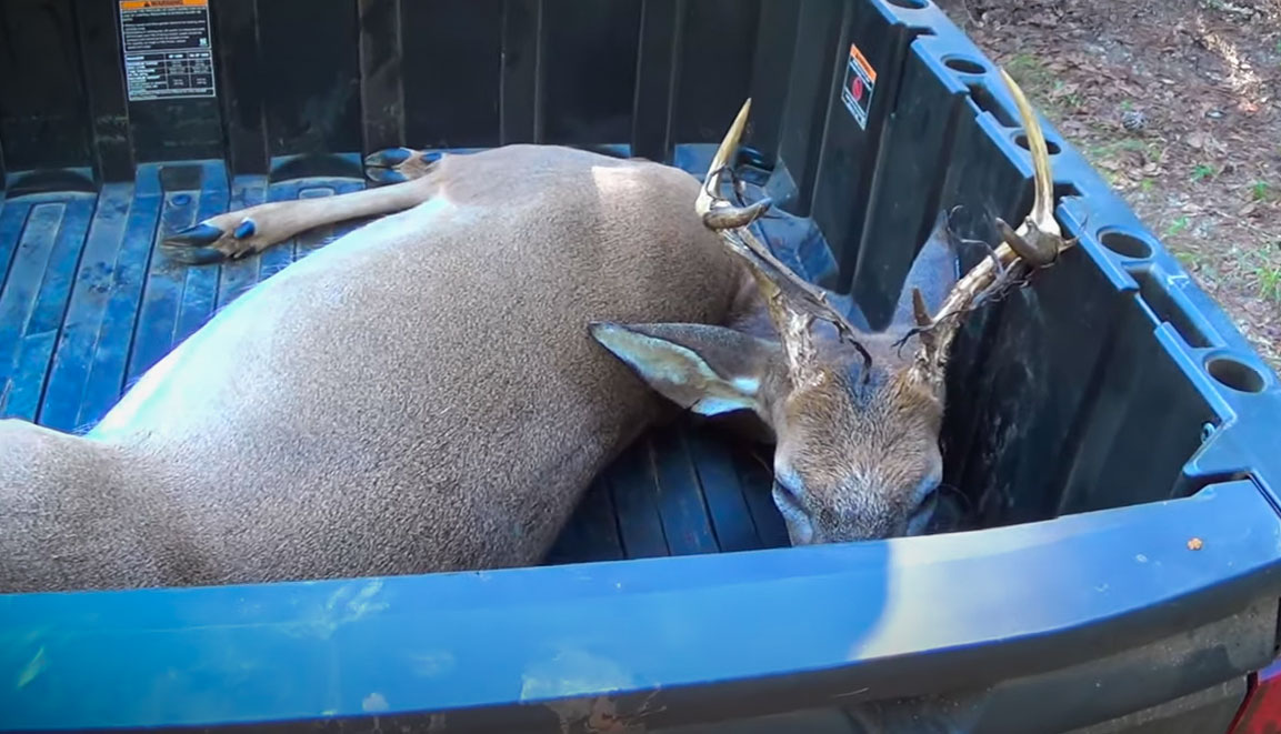 Opening Weekend of Deer Season in South Carolina Is a BIG Success