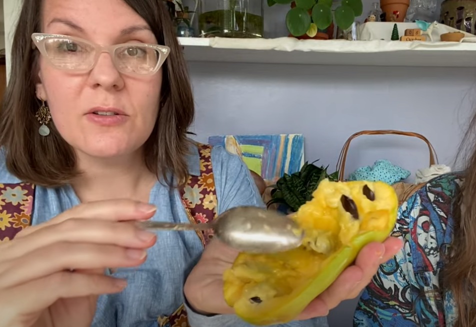 What Do Pawpaws Really Taste Like?  with Parkrose Permaculture and my724outdoors.com!