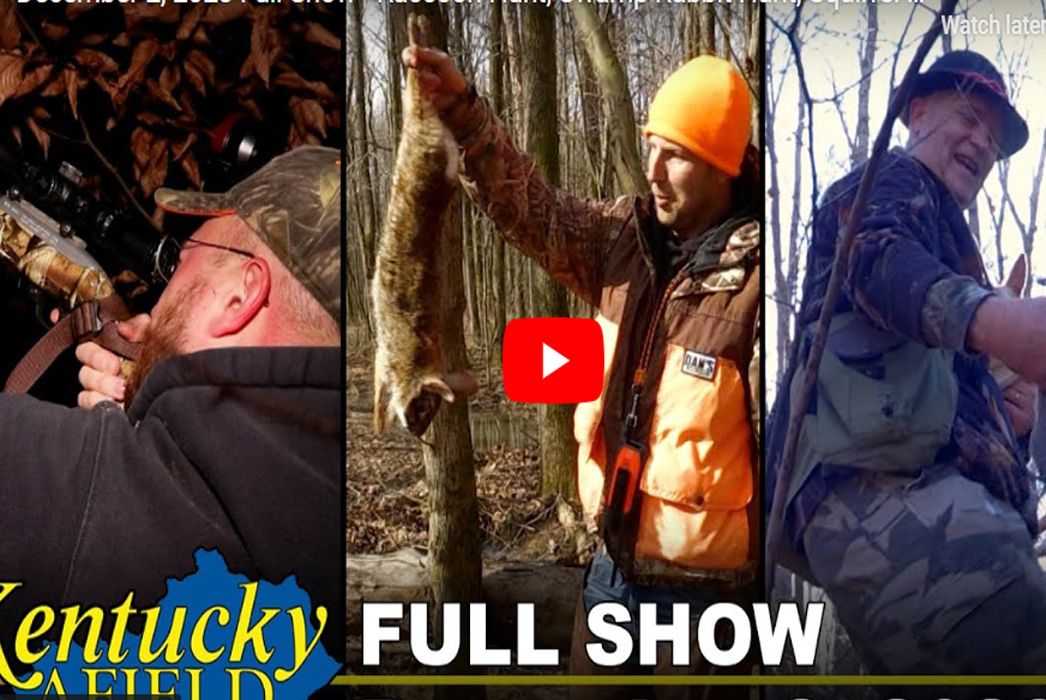 Exciting Hunting For Racoon, Squirrel And Rabbit In This Episode Of ...