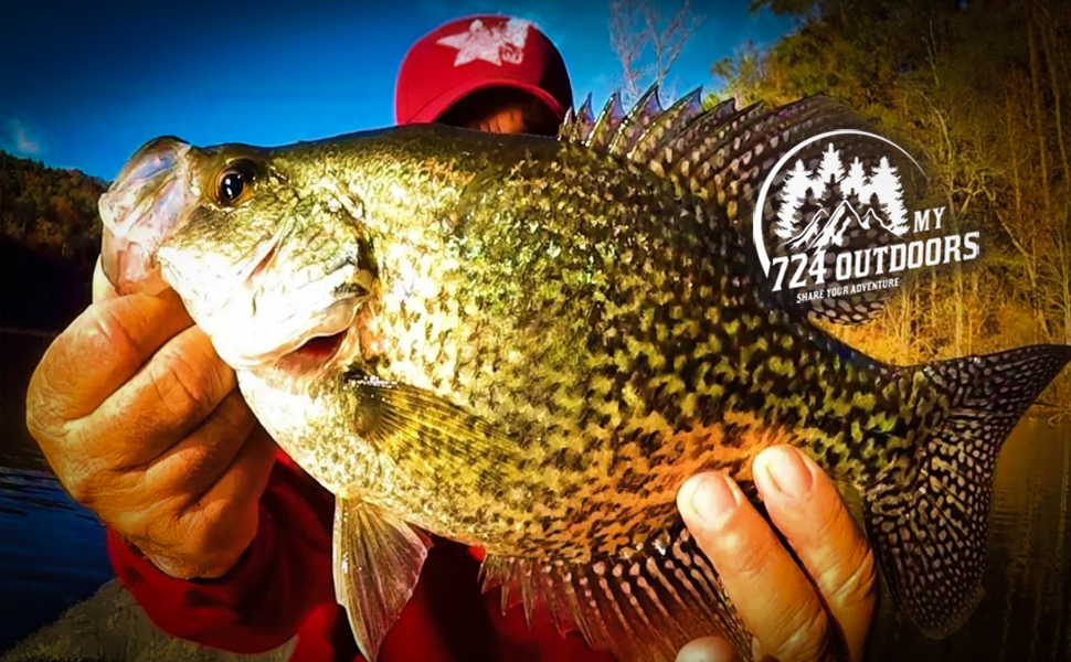 This Irresistible Bait Makes Crappie Fishing EASY | my724outdoors.com