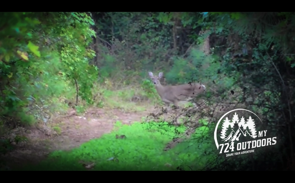 Great Deer Hunting Highlights Video | my724outdoors.com